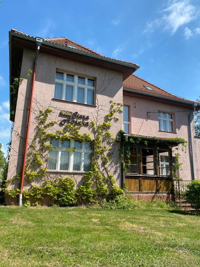 Villa Stara Apteka Srebrna Gora Bagian luar foto